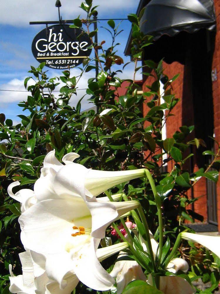 Hi George B&B Launceston Exterior photo